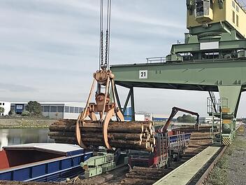 Holzumschlag im Bayernhafen Bamberg