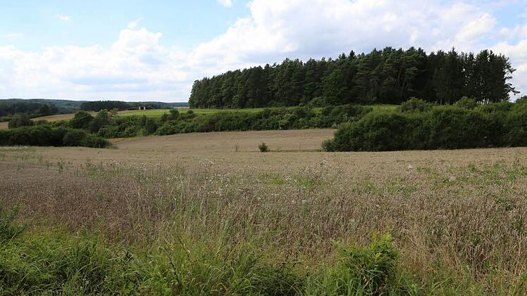 Auch um das Wäldchen herum ist die Landschaft vielfältig. Foto: Barbara Herbst