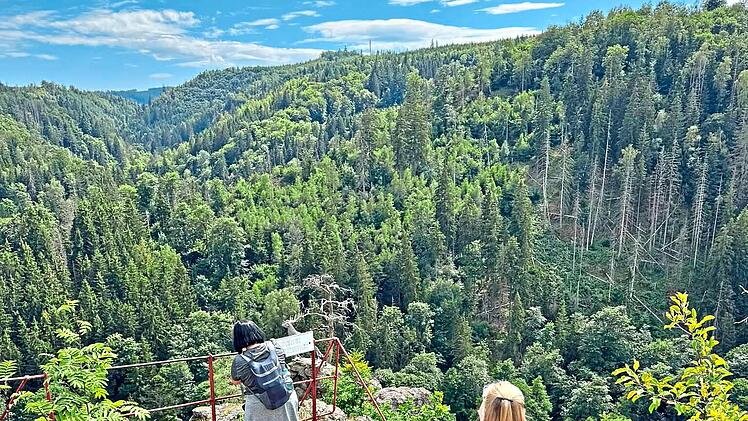 Frankenwald-Insta-Hikes werben f&uuml;r nachhaltige Reisen in die Natur Frankenwald Tourismus