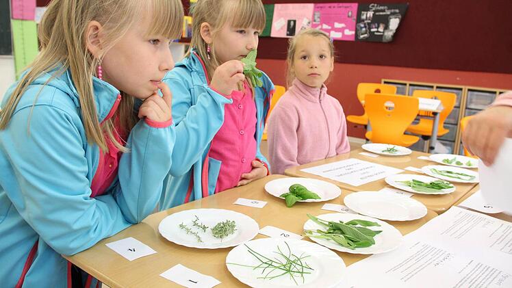 Salbei, Melisse oder Lavendel? Schüler schnupperten Kräuter in der 7b.