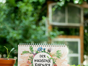 N&uuml;rnberger Start-up Primoza geht bei "Die H&ouml;hle der L&ouml;wen" an den Start.