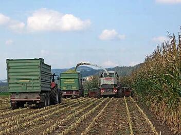Das Bild zeigt die Mitarbeiter der Landwirtschaftlichen Lehranstalten des Bezirks Oberfranken bei der Maisernte.  Foto: DLG