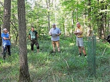 Waldgang in Ermershausen mit (von links) Bürgermeister Günter Pfeiffer, Bastian Betz und Jürgen Hahn vom Amt, Revierförster Wolfgang Meiners und Naturpark-Rangerin Katja Winter  Foto: Martin Schweiger