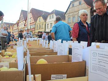 Allerlei heimische Äpfel und deren Charakteristika und Vorzüge wurden den Besuchern des Apfelfestes präsentiert. Fotos: Eckehard Kiesewetter