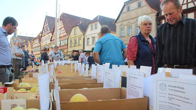 Allerlei heimische Äpfel und deren Charakteristika und Vorzüge wurden den Besuchern des Apfelfestes präsentiert. Fotos: Eckehard Kiesewetter