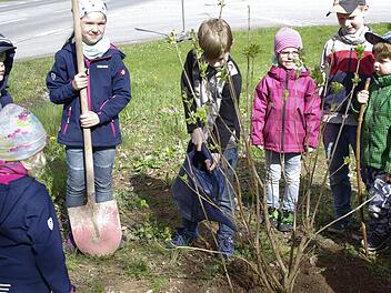 Graben, pflanzen, angießen. Die Kids haben den Dreh zum Tag des Baumes schon heraus. Foto: Winfried Ehling