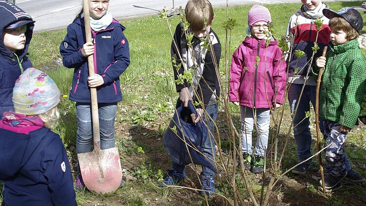 Graben, pflanzen, angießen. Die Kids haben den Dreh zum Tag des Baumes schon heraus. Foto: Winfried Ehling