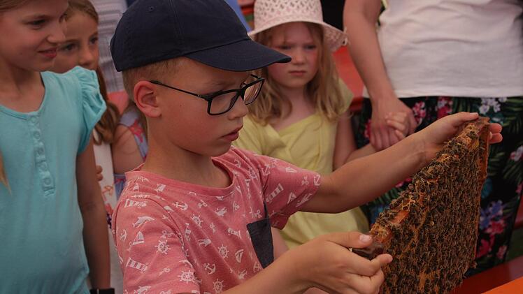 Mattis hat keine Angst vor Bienen.      Foto: Yannick Hupfer