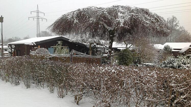 Kleingartenanlage Zehn Eichen in Kulmbach: Die Gartenarbeit hat Ruh.   Fotos: Dagmar Besand