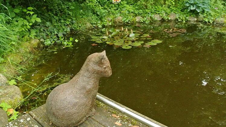 Die Katze am Teich im Garten Brech