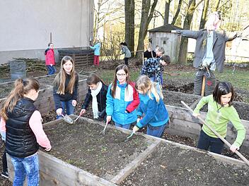 Im Schulgarten wird eifrig "geackert". Alle packen mit an.  Foto: Ronald Rinklef