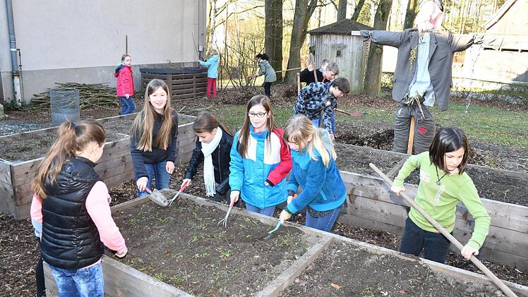 Im Schulgarten wird eifrig "geackert". Alle packen mit an.  Foto: Ronald Rinklef
