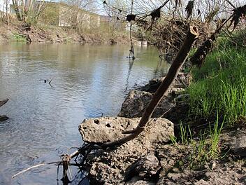 Unterhalb der Aischbrücke bei Mailach wurden Anfang des Monats Schlachtreste gefunden. Jetzt ermitteln zwei Veterinärämter.  Foto: Christian Bauriedel