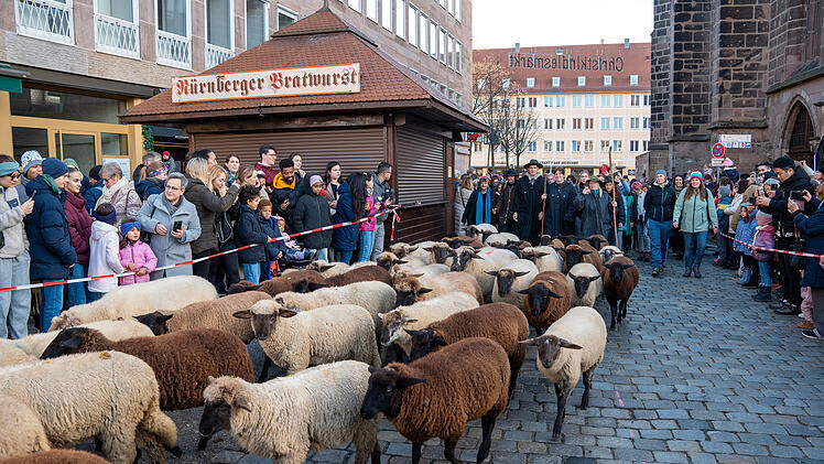 Hunderte Schafe ziehen durch Nürnberg