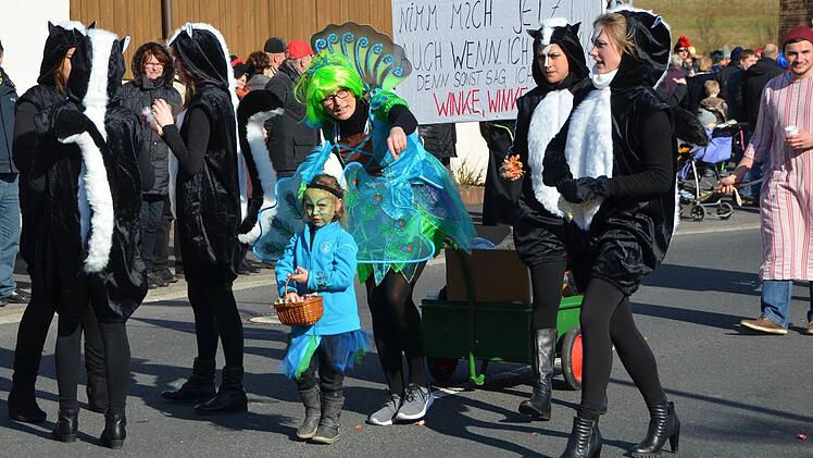 Faschingszug Rosenmontag in Waldfenster Foto: Peter Rauch