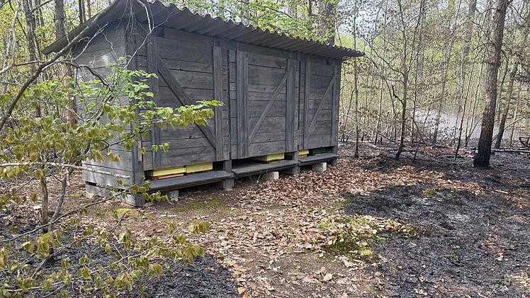 Waldbrand auf dem Bocksberg: Unzug&auml;ngliches Gel&auml;nde erschwert L&ouml;scharbeiten