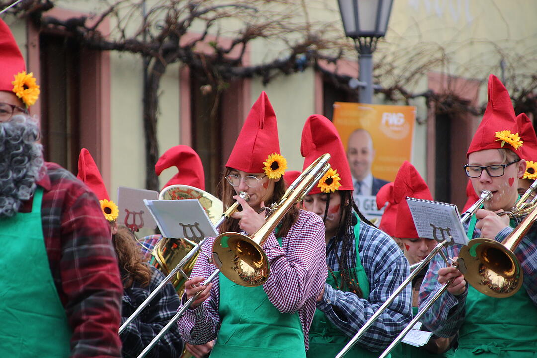 Kreisfaschingsumzug 2020