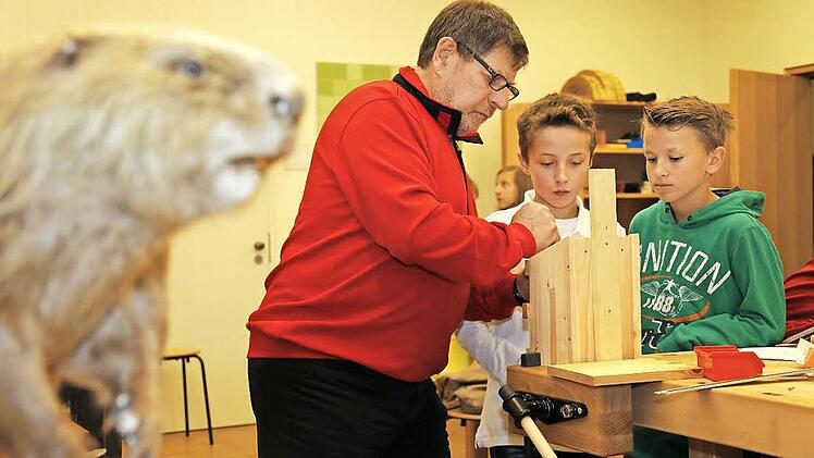 In der Waldwerkstatt des neuen Steigerwald-Zentrums: Ein (ausgestopfter) Biber schaut zu, wie Opa Michael Weilnhammer aus Geiselwind mit (von rechts) Tom Hofmann und Maximilian Riedel (beide Realschule Ebrach) an einem Unterschlupf für Tiere basteln.  Fotos: Matthias Hoch