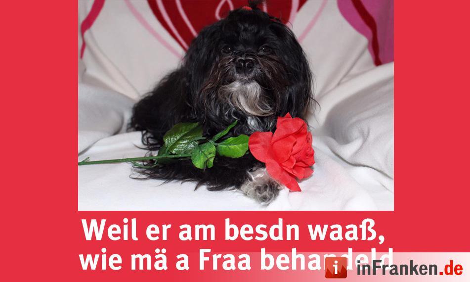 Foto: Vanessa Lang