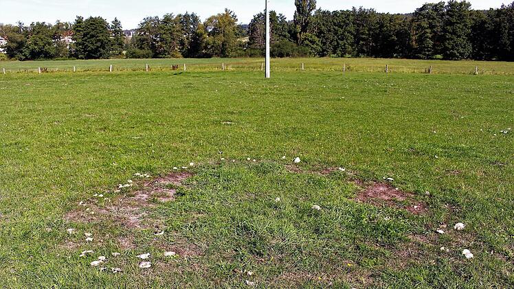 Ein "Hexenring" auf der Wiese bei Kleinwachenroth   Foto: Evi Seeger