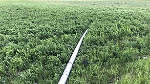 Kreis Bamberg: Motorradfahrer bei Unfall schwer verletzt