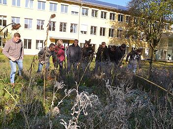 Die angehenden Landwirtschaftsmeister nehmen zusammen mit Anton Weig (Zweiter von links) unter die Lupe, wie sich der Blühstreifen entwickelt hat, den sie im Garten des Landwirtschaftsamtes angelegt haben. Foto: Rainer Lutz