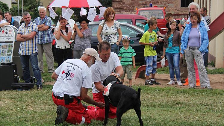Vorführungen der Rettungshundestaffel.