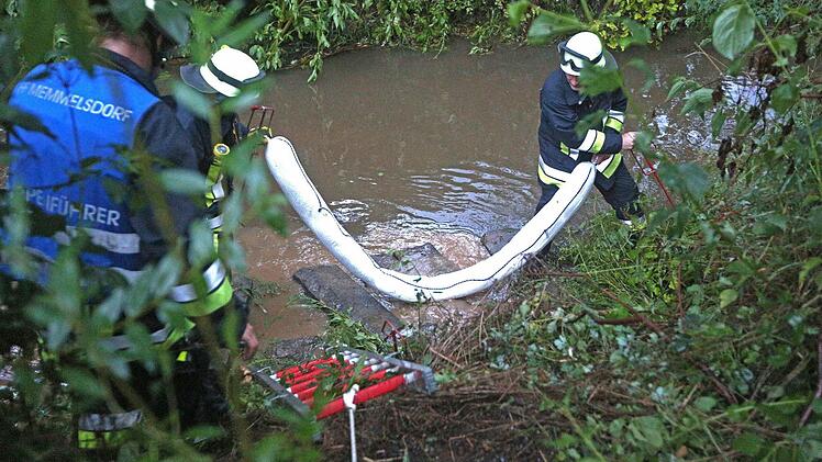 Foto: News5 / Herse