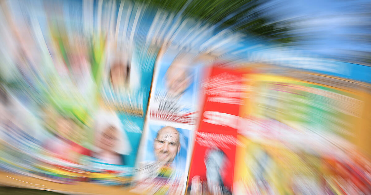 Landtagswahl 2023: Wer sind eigentlich die 'Sonstigen'? Diese 'Exoten' ...