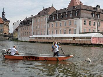 Über den implantierten Chip wird der Besitzer des toten "Regnitz-Hundes" gesucht. Foto: Ronald Rinklef