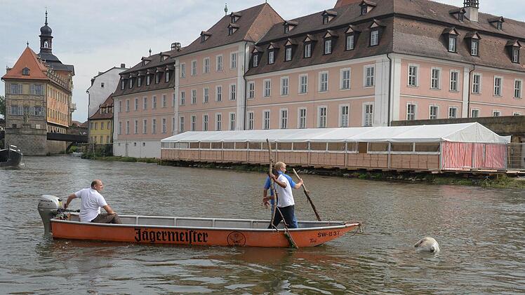 Über den implantierten Chip wird der Besitzer des toten "Regnitz-Hundes" gesucht. Foto: Ronald Rinklef