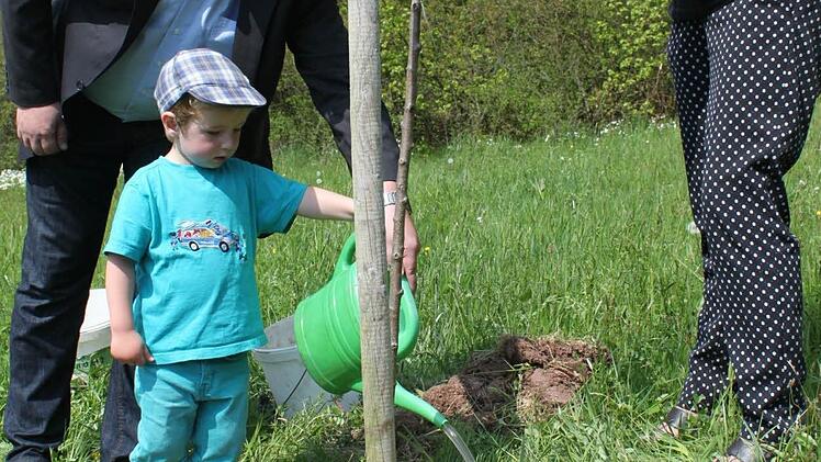 Auch Gisela Cesaro pflanzte einen Apfelbaum für ihre fünf Monate alte Enkelin. Der kleine Philipp Mitter (auch Bild unten) und der Förster der Stadt Kronach, Ulli Dautel, unterstützten die stolze Oma bei der Arbeit.