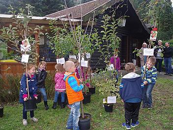 Auch heuer wieder erhalten die ABC-Schützen aus Steinberg und Umgebung ihre Schulbäume - hier die Aktion von 2014. Foto: Archiv, Heike Schülein