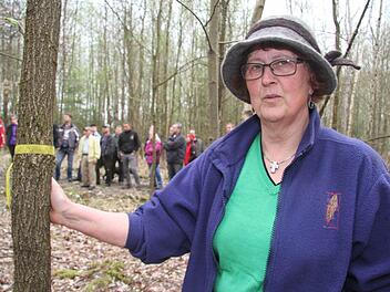 Waldbesitzerin Rosa Jurkat erzählt schonungslos offen, wie die Stürme Vivian und Wiebke im Winter 1990 den kompletten Fichtenwald vernichtet haben. Jahrelang versuchten die Jurkats vergeblich, die Waldfläche wieder aufzuforsten. Doch inzwischen sind Z-Bäume - also Zukunftsbäume - mit einem Band gekennzeichnet, und auf der ehemaligen Fichtenwaldfläche wächst ein bunter Mischwald. Fotos: Sonja Adam