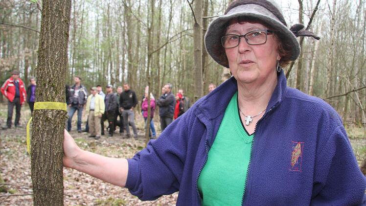 Waldbesitzerin Rosa Jurkat erzählt schonungslos offen, wie die Stürme Vivian und Wiebke im Winter 1990 den kompletten Fichtenwald vernichtet haben. Jahrelang versuchten die Jurkats vergeblich, die Waldfläche wieder aufzuforsten. Doch inzwischen sind Z-Bäume - also Zukunftsbäume - mit einem Band gekennzeichnet, und auf der ehemaligen Fichtenwaldfläche wächst ein bunter Mischwald. Fotos: Sonja Adam
