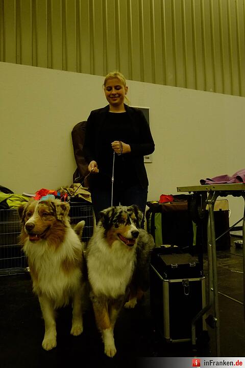 43. Internationale Rassehundeausstellung (Cacib) in Nürnberg