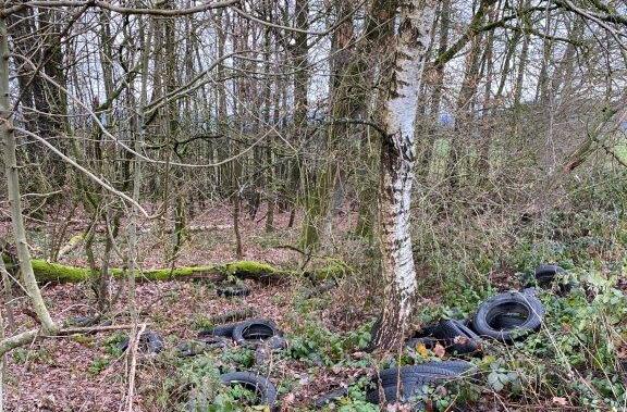 Neustadt bei Coburg: Illegale Müllentsorgung - 30 Altreifen einfach in Wald geworfen
