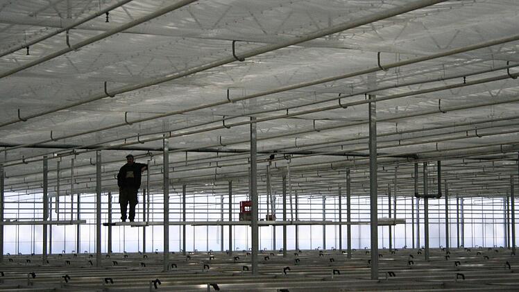 In den vergangenen Monaten wurden in Langs Gewächshäusern neue Tagesschirme montiert.