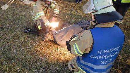 Mit einem Halogenstrahler wärmen die Helfer das unterkühlte Tier auf.  Foto: Freiwillige Feuerwehr Haßfurt