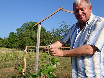 Im Maital hat Dieter Petsch an einem Hang Weinreben gepflanzt. Foto: Heike Beudert