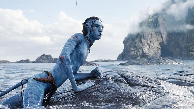 Die Elemente Feuer, Wasser, Erde und Luft spielen in den  "Avatar" eine wichtige Rolle. In jedem Film steht ein Element im Zentrum, in Teil 2 "The Way of Water" das Wasser.