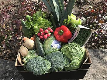 Kitzingen setzt Hilfsaktion fort - Obst und Gemüse für Bedürftige