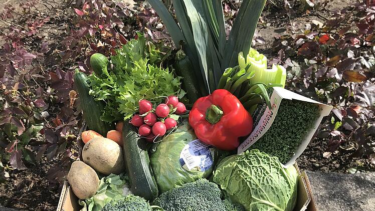 Kitzingen setzt Hilfsaktion fort - Obst und Gemüse für Bedürftige