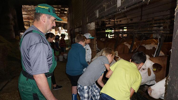Die 4. Klasse der Grundschule Burglauer war, im Rahmen der bayernweiten Aktionswochen "Sommer.Erlebnis.Bauernhof" auf dem Erlebnisbauernhof von Manfred Werner in Unterweißenbrunn zu Gast.  Foto: Marion Eckert