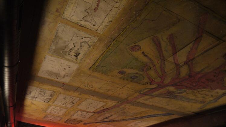 Die Decke des Kinos gestaltete 1987 Rochus Kuhn, der Sohn von Bildhauer Waldemar Kuhn, damals Bühnenbildner am Theater Maßbach und heute ebenso bereits wie der Vater verstorben.