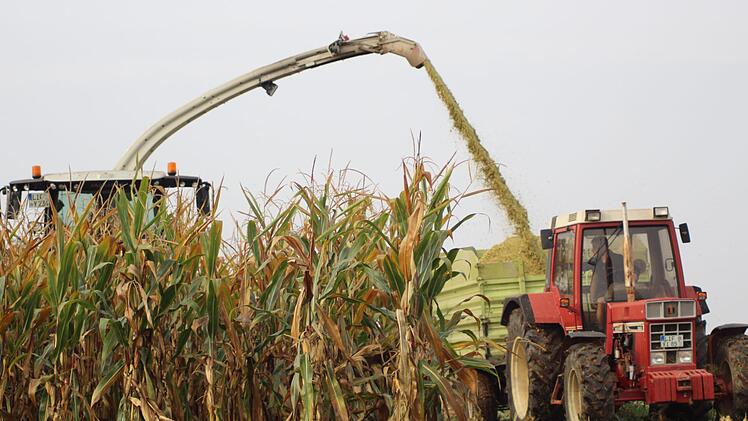 Impressionen von der Maisernte bei Ebensfeld. Foto: Markus Häggberg