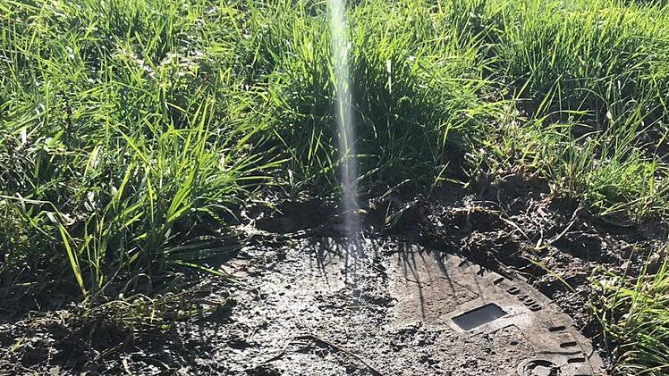 Foto: Carmen Schwind