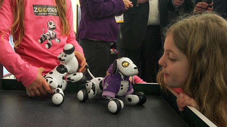 Foto: News5 / Grundmann