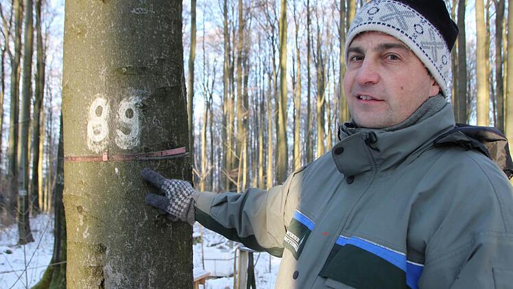 Joachim Dahmer behält das Wachstum der Bäume im Auge. Foto: Ulrike Müller