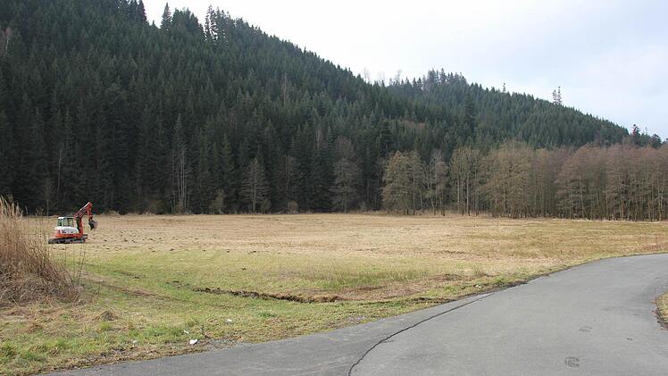 Zwischen dem asphaltierten Radweg (vorne), dem Bagger (links) und dem Wald (hinten) soll das Staubecken entstehen.